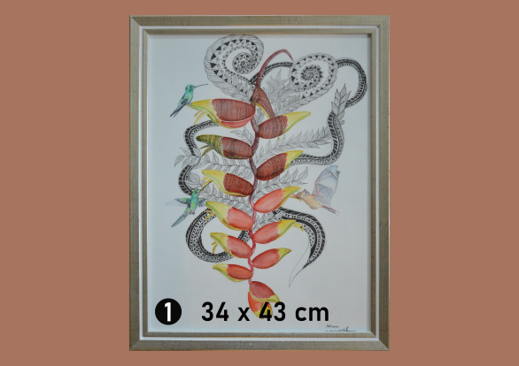 Colorierte Handzeichnung der Heliconia.