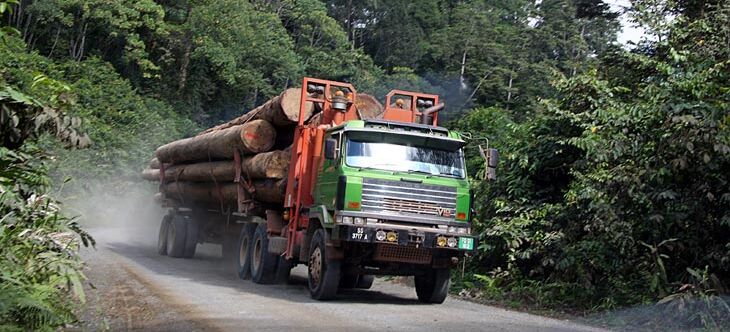 Der Lastwagen transportiert Tropenholz aus dem malaysischen Regenwald