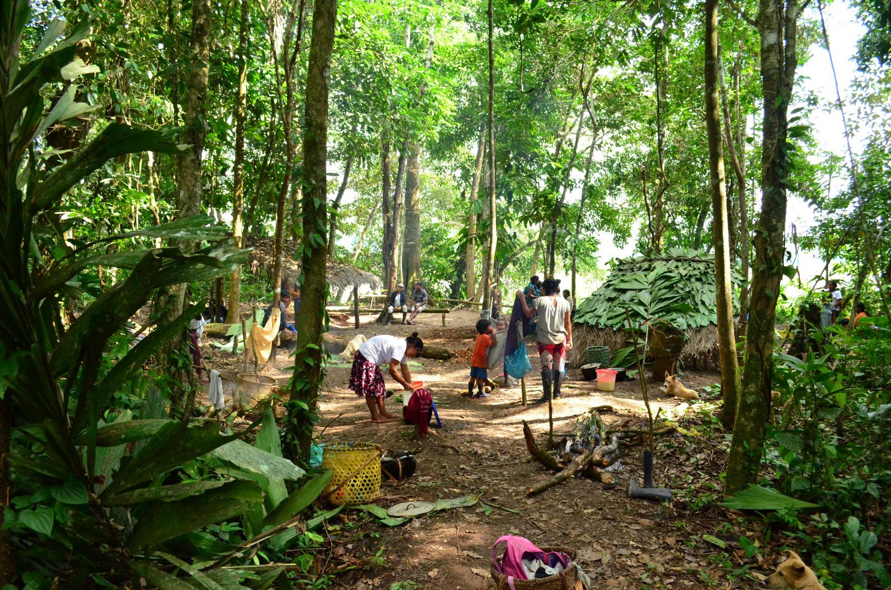 Blick auf ein indigenes Dorf der Achuar in Ecuador.