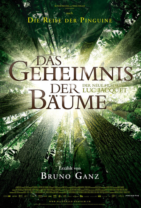 Filmcover des Films "Das Geheimnis der Bäume" mit Blick in die Baumkronen.