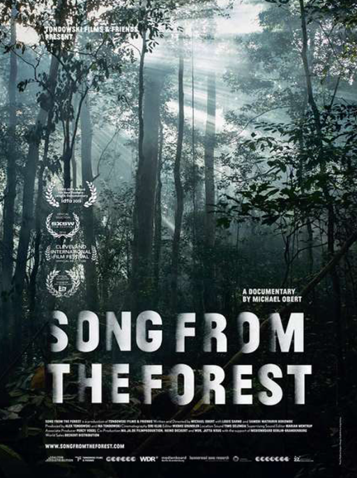Filmcover von "Song from the forest" mit Blick in den düsteren Wald