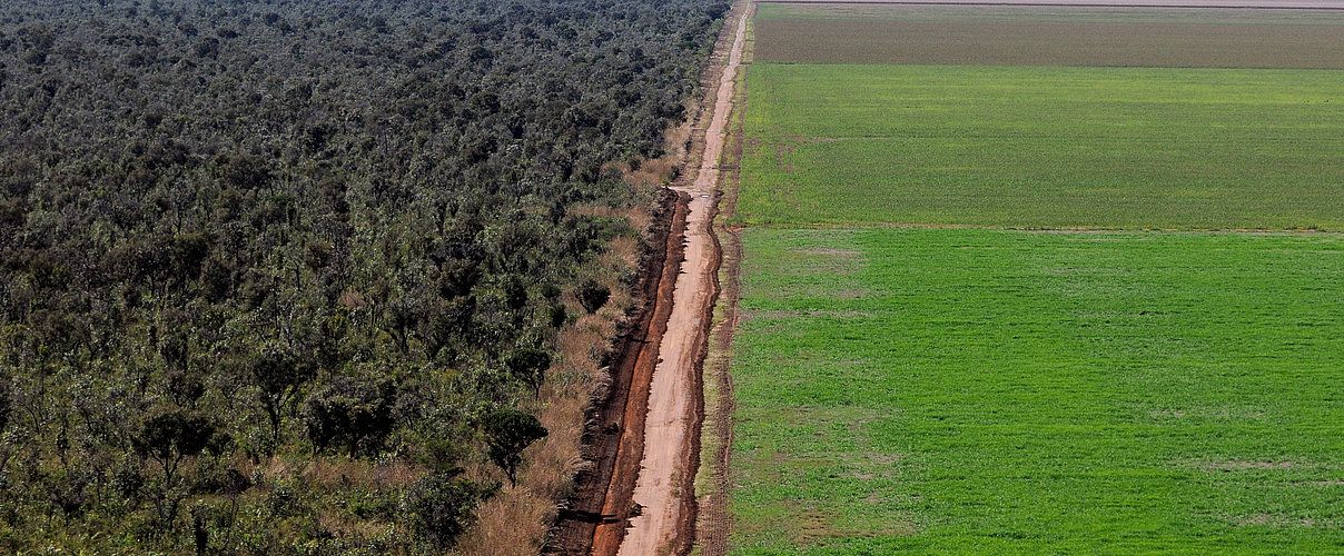 Eine Strasse trennt den brasilianischen Regenwald von der schier unendlichen Soja-Monokultur.