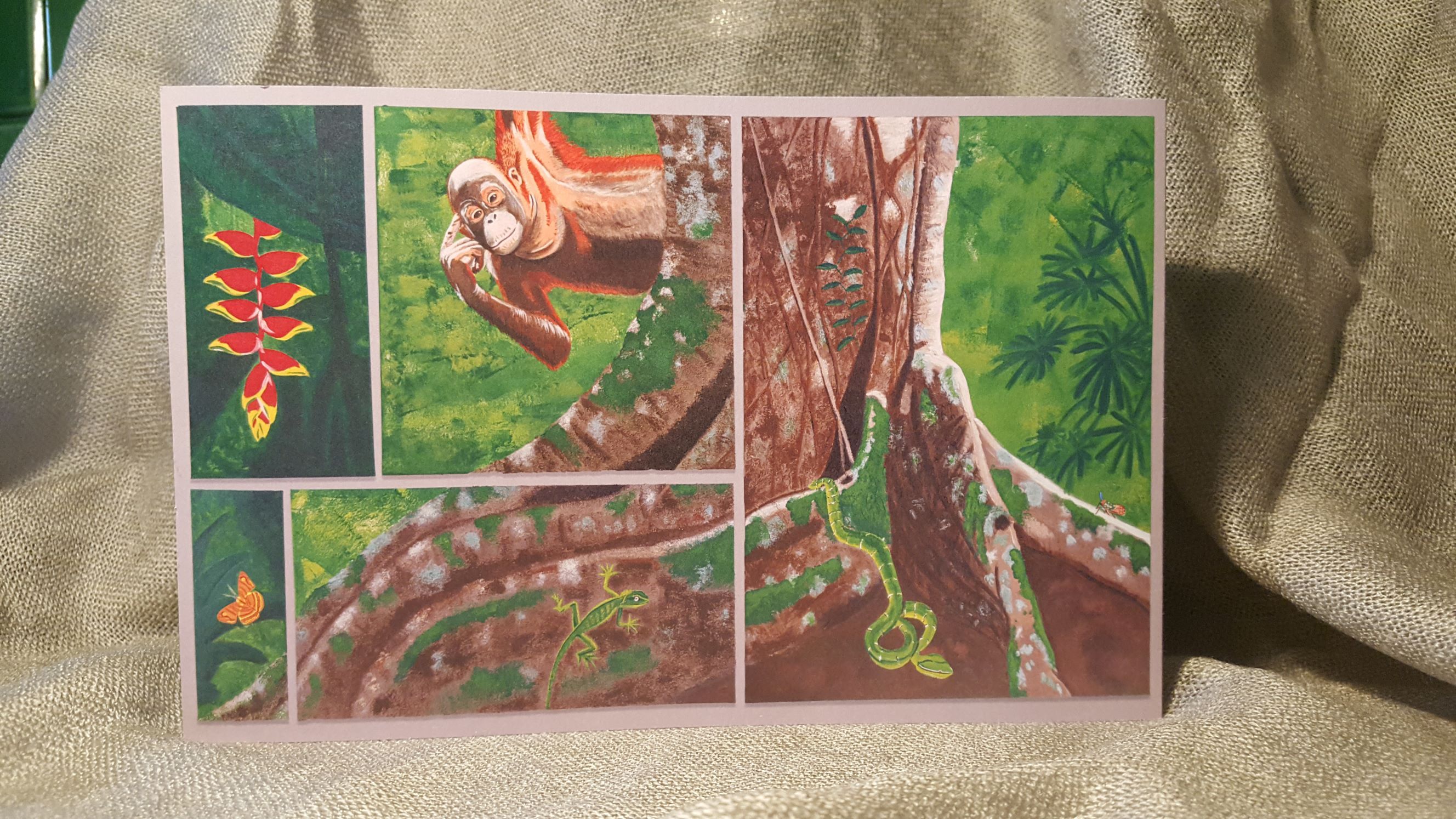 Faltkarte mit Motiven aus Borneo